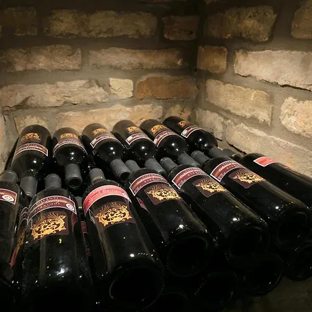 شقة فندقية Foter Rezidencia 2 غيور