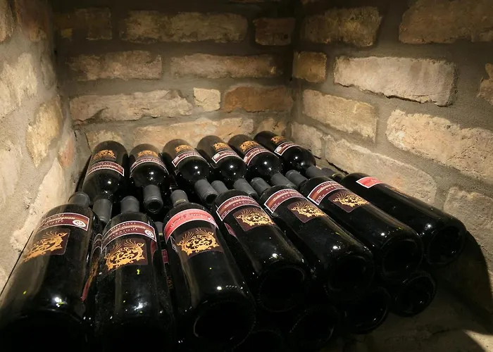 Hotel de apartamente Foter Rezidencia 2 Győr